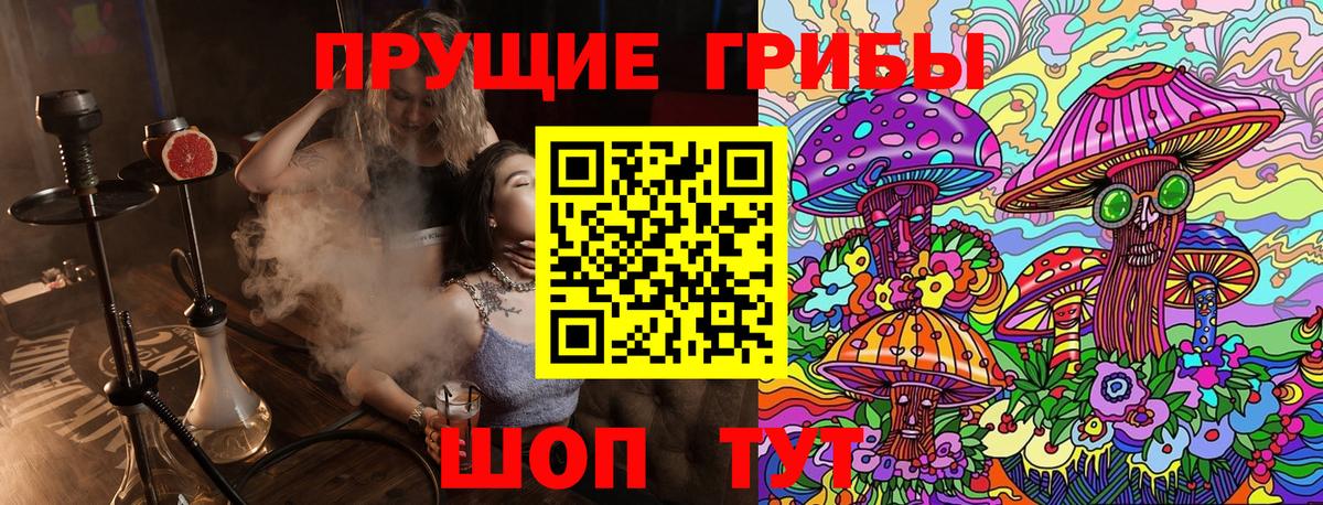 Псилоцибиновые грибы GOLDEN TEACHER Верхняя Пышма