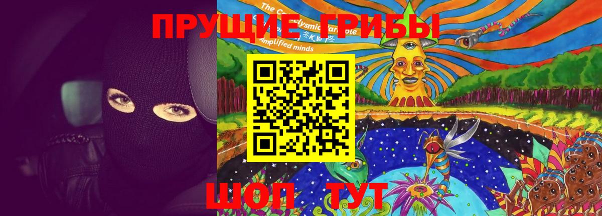 Верхняя Пышма  Галлюциногенные грибы Psilocybine cubensis  Вход с VPN 